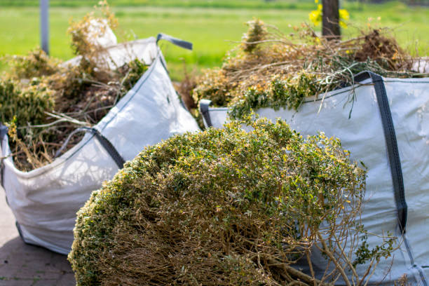 Basement Cleanout Services in Longview, TX